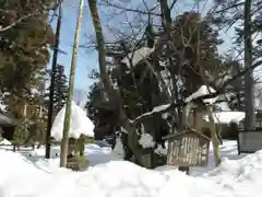 蠶養國神社の建物その他