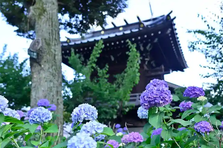 白山神社の庭園