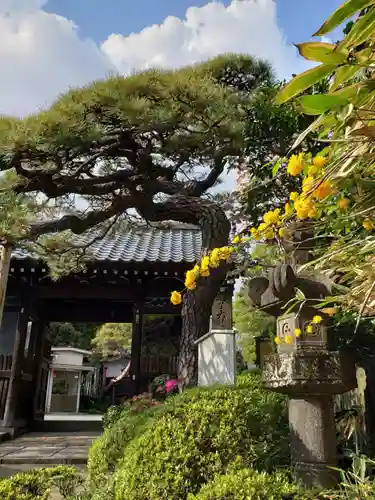 宝泉寺の山門