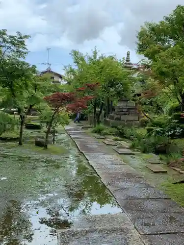 保寧寺の庭園