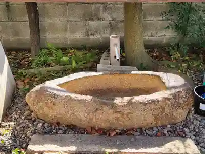 今津濱恵比須神社の手水舎