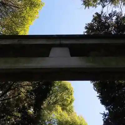 渋谷氷川神社の鳥居
