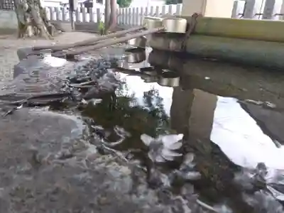 杉杜白髭神社(福井県)