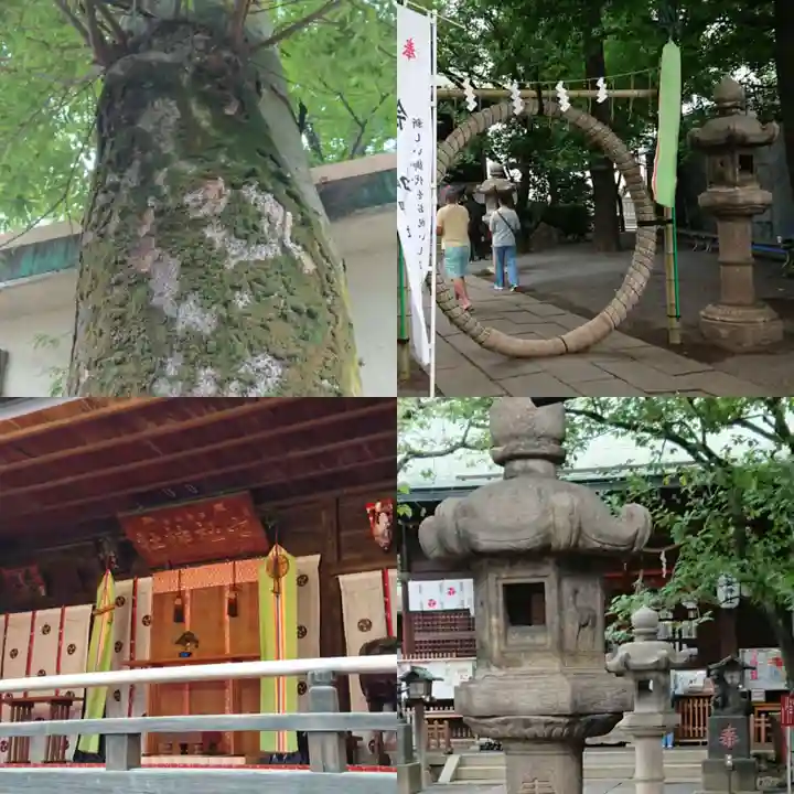七社神社(東京都)