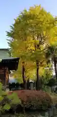 高木神社の自然