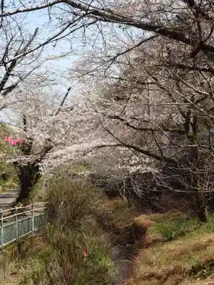龍藏神社(神奈川県)