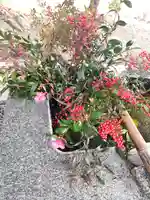 高司神社〜むすびの神の鎮まる社〜(福島県)