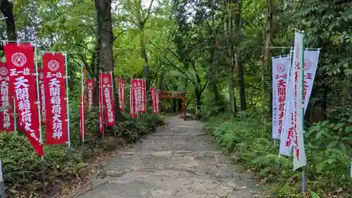 天開稲荷社の自然