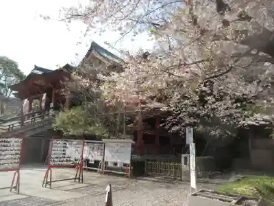 瀧泉寺（目黒不動尊）(東京都)