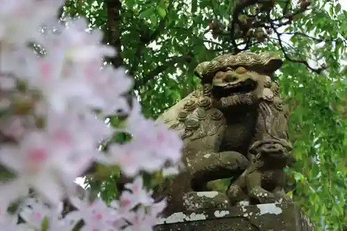 豊景神社の狛犬