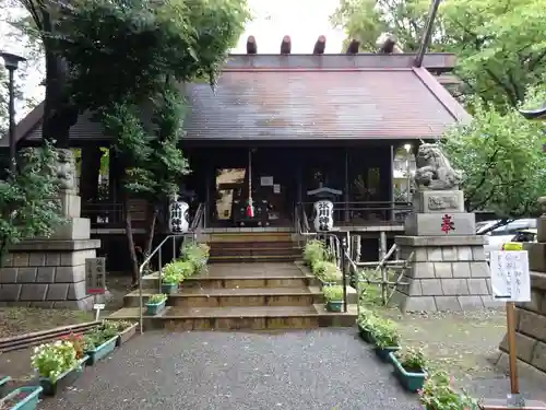 高円寺氷川神社の本殿・本堂