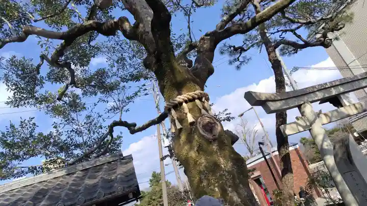 出町妙音堂(京都府)