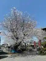 十輪寺(群馬県)