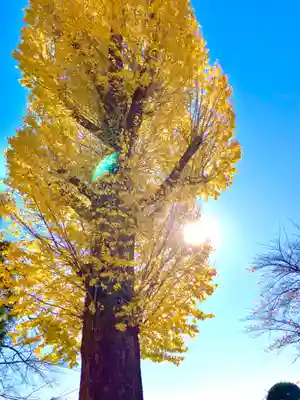 常福寺(茨城県)