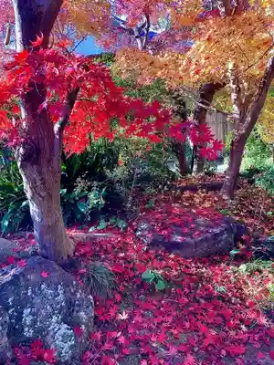 本土寺(千葉県)