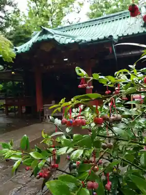 赤坂氷川神社(東京都)