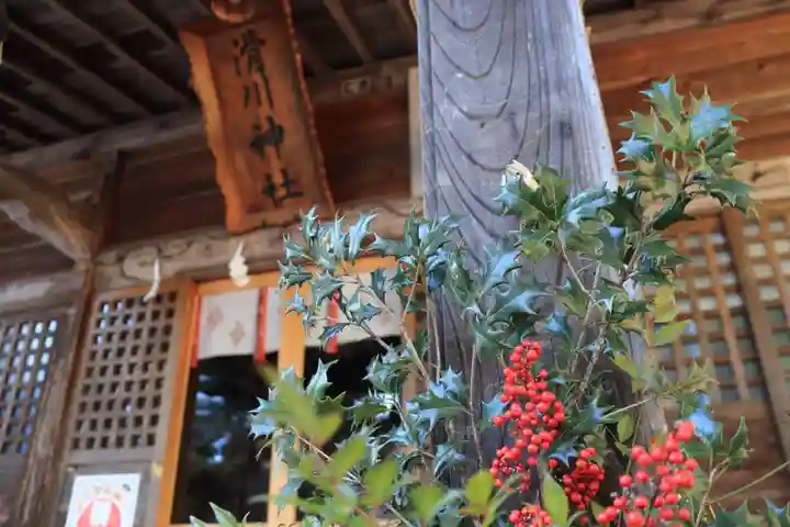 滑川神社 - 仕事と子どもの守り神の本殿・本堂