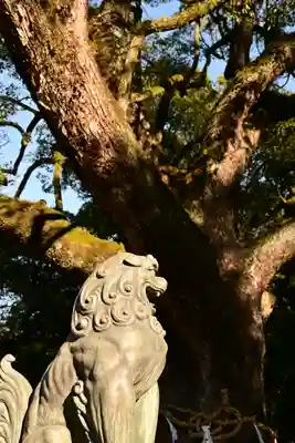 伊曽乃神社(愛媛県)