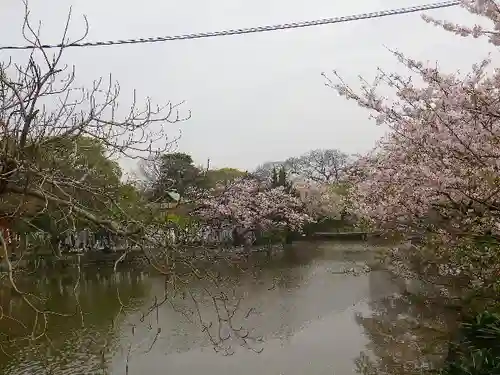 鶴岡八幡宮の庭園