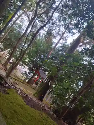 西宮神社(京都府)