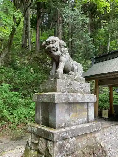 戸隠神社宝光社の狛犬