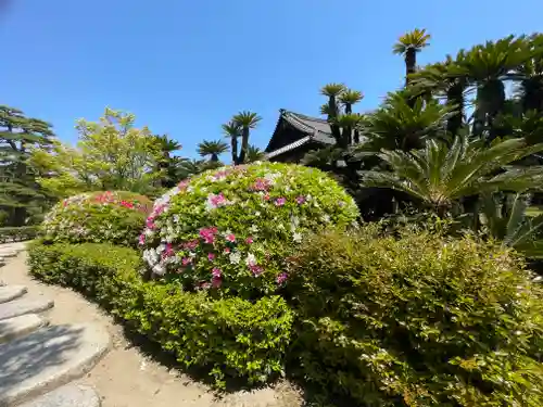 中野天満神社(香川県)