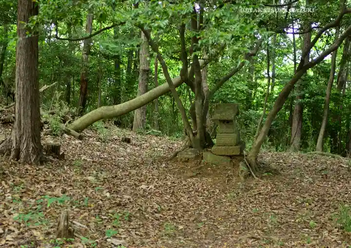 賀茂別雷神社(栃木県)