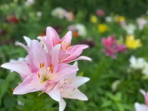 秋葉總本殿可睡斎(静岡県)