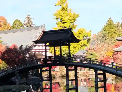 永保寺(岐阜県)