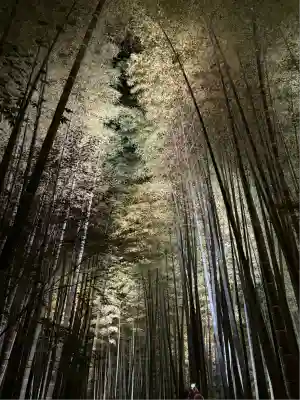 高台寺（高台寿聖禅寺・高臺寺）(京都府)
