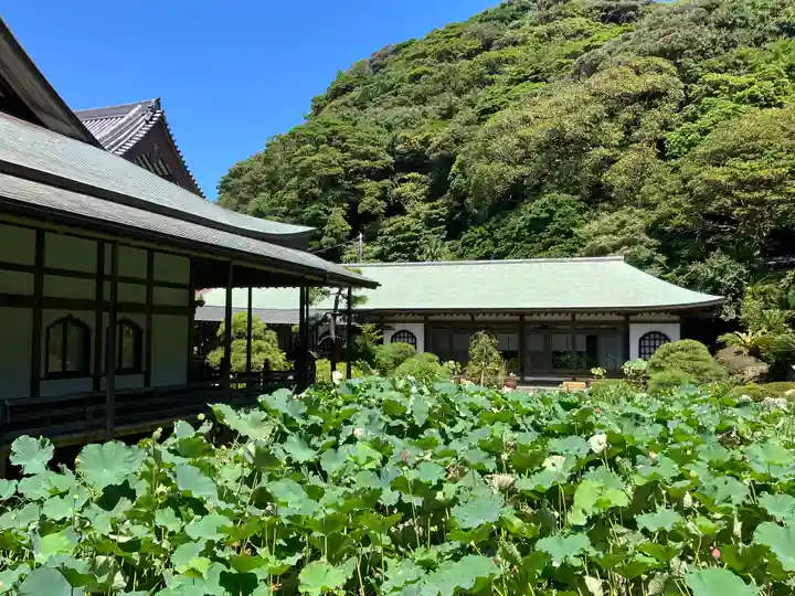 光明寺(神奈川県)