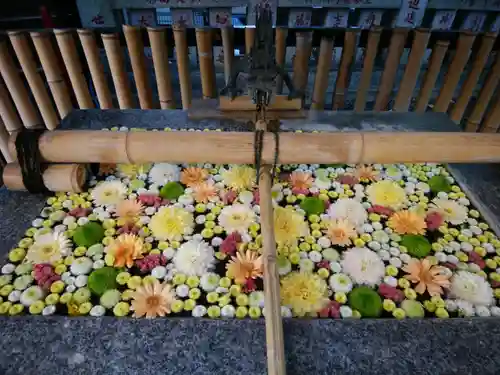 高円寺氷川神社の手水