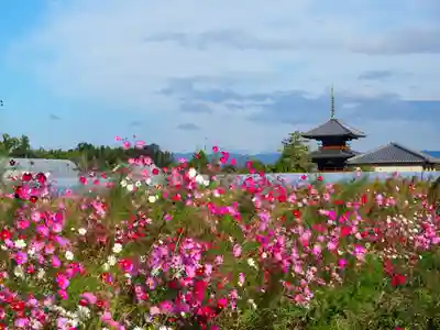 法起寺(奈良県)