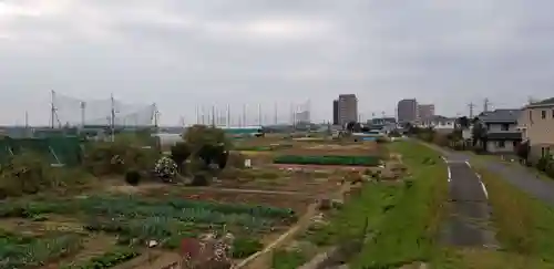大曽根八幡神社(埼玉県)