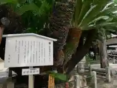 御香宮神社の自然