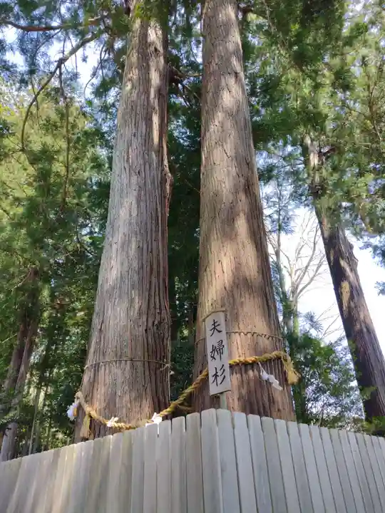 乳峯神社(三重県)