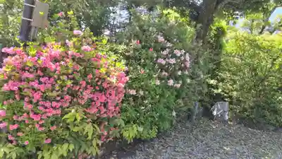 賀茂波爾神社(賀茂御祖神社境外摂社)(京都府)