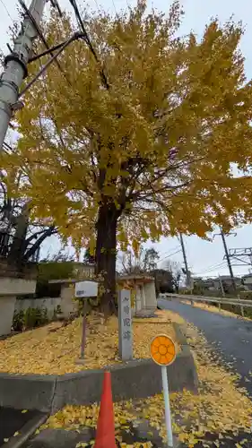 山崎院跡(京都府)