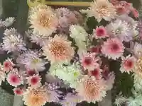 彌彦神社 (伊夜日子神社)の手水舎