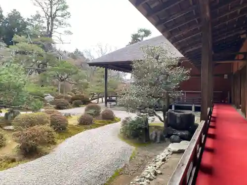 曼殊院門跡(京都府)