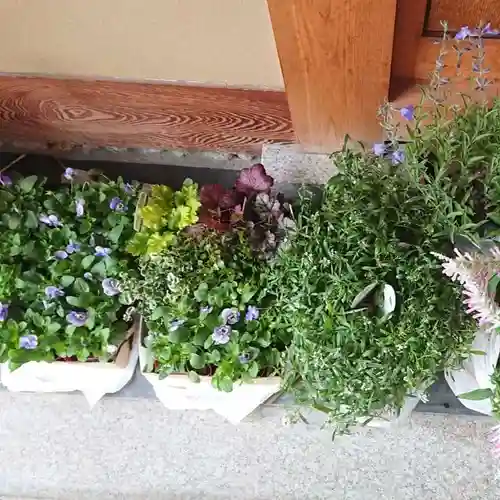 寿量山　速成寺の自然