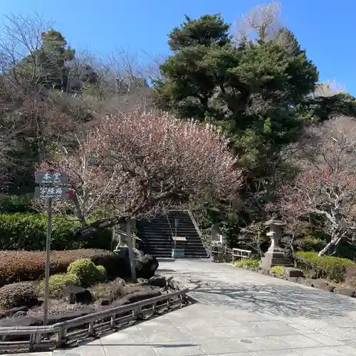 長谷寺の庭園