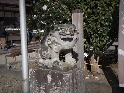 今市報徳二宮神社の狛犬