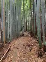 借宿山蔵王大神(千葉県)