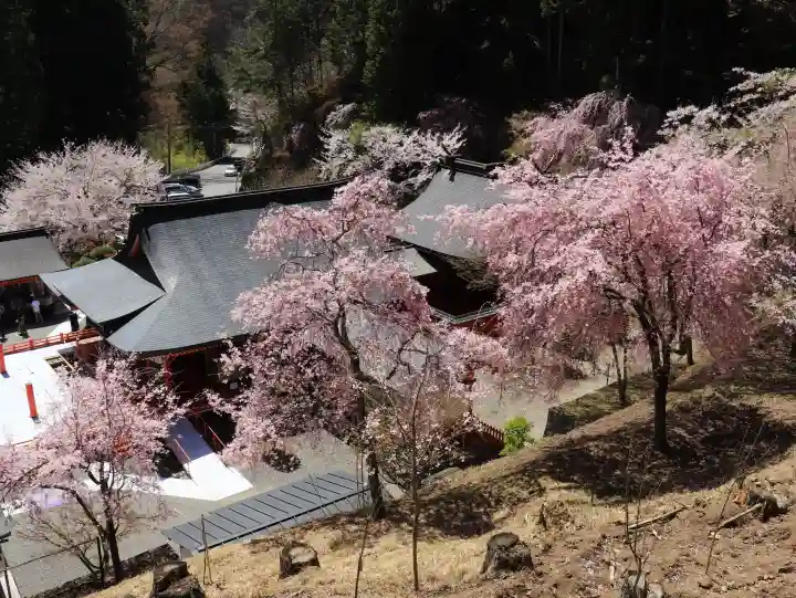金櫻神社の{uncategorized: "未分類", other: "その他", undefined: "問題あり", building: "その他建物", grave: "お墓", sacred_gate: "鳥居", guardian: "狛犬", statue: "像", buddha: "仏像", history: "歴史", nature: "自然", garden: "庭園", animal: "動物", pagoda: "塔", temizu: "手水舎", mountain_gate: "山門・神門", sanctuary: "本殿・本堂", subordinate: "末社・摂社", art: "芸術", scenery: "景色", jizo: "地蔵", ema: "絵馬", goshuin: "御朱印", omikuji: "おみくじ", items: "授与品その他", amulet: "お守り", goshuincho: "御朱印帳", eats: "食事", festival: "お祭り", votive_dance: "神楽", shichigosan: "七五三参", wedding: "結婚式", experience: "体験その他", initially: "初詣", around: "周辺", anti_infection: "感染症対策"}
