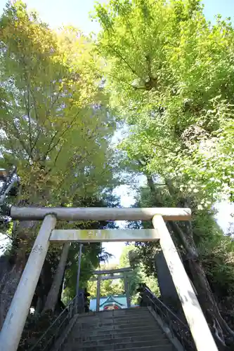 中野氷川神社の鳥居