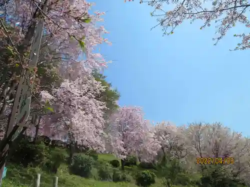  久延彦神社の自然