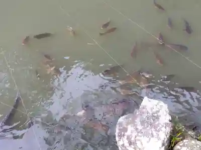 清荒神清澄寺(兵庫県)