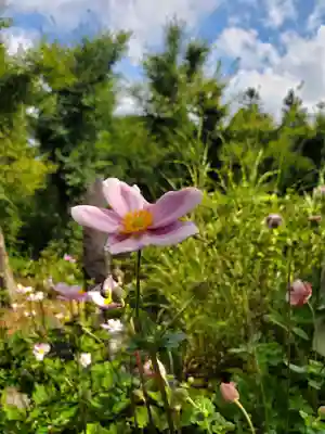 石都々古和気神社(福島県)
