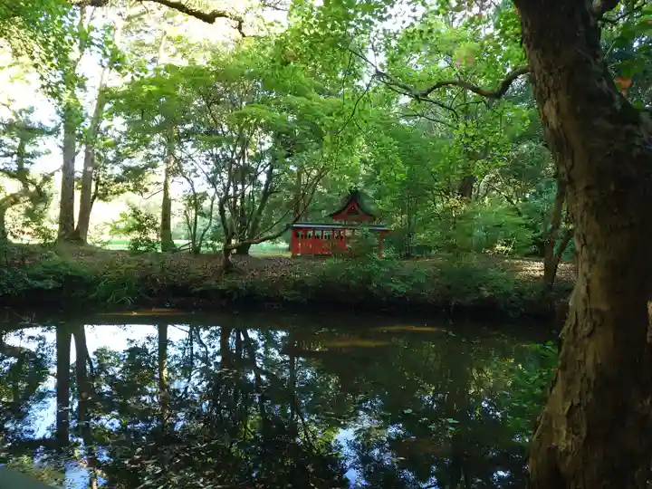 宇佐神宮(大分県)